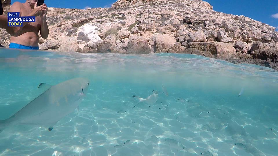 Isola Dei Conigli Un Bel Giorno Di Settembre