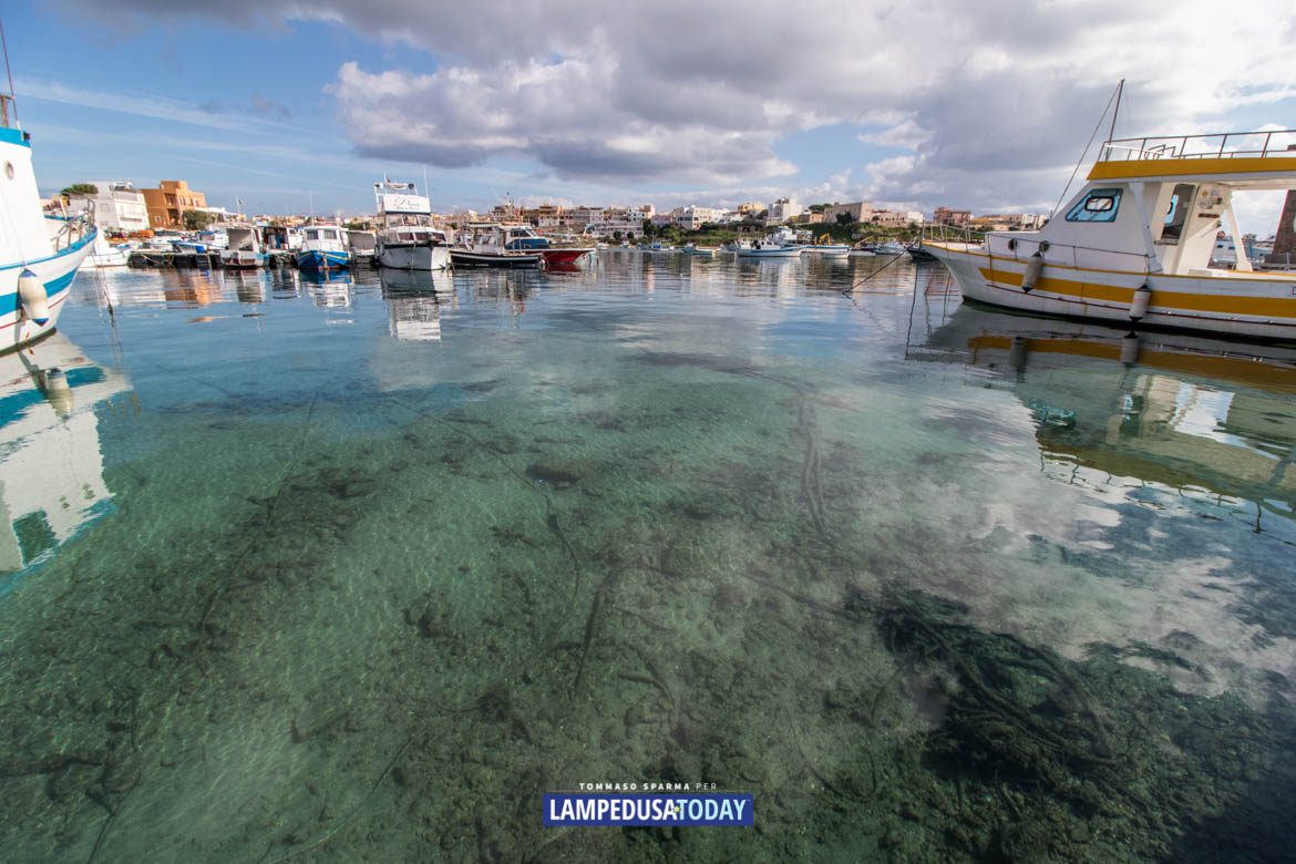 Al porto - Tommaso Sparma per Lampedusa Today™
